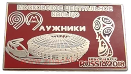 Чемпионат Мира 2018 Россия МЦК станция Лужники метро