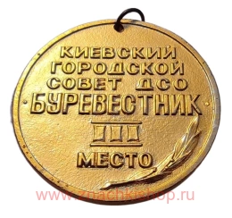  Медаль ДСО БУРЕВЕСТНИК Киевский Городской Совет 3 - место.